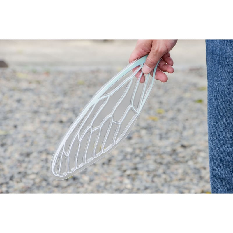 せみうちわ 羽化 Cicada Fan eclosion | oodesign shop