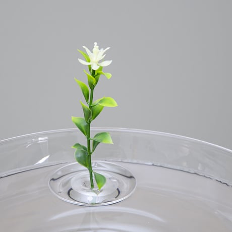 Floating Vase テスト用造花