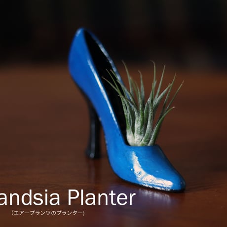 Tillandsia Planter（エアープランツのプランター）2