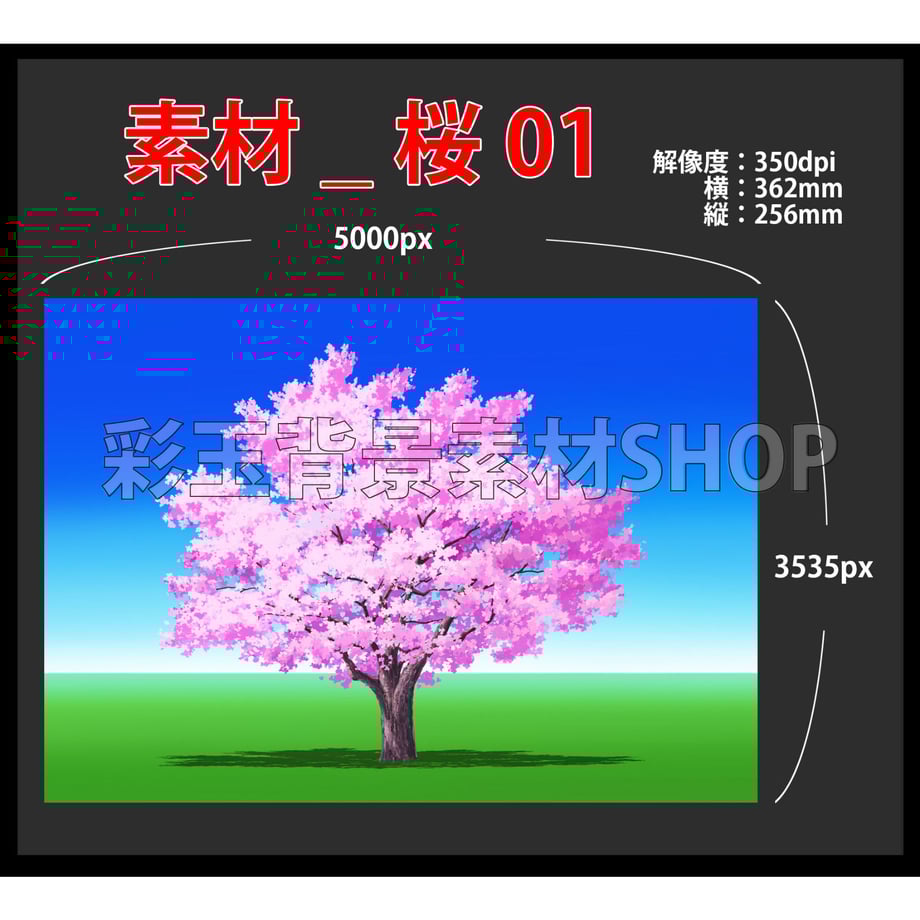 5e42886f94cf7b298965a4f5