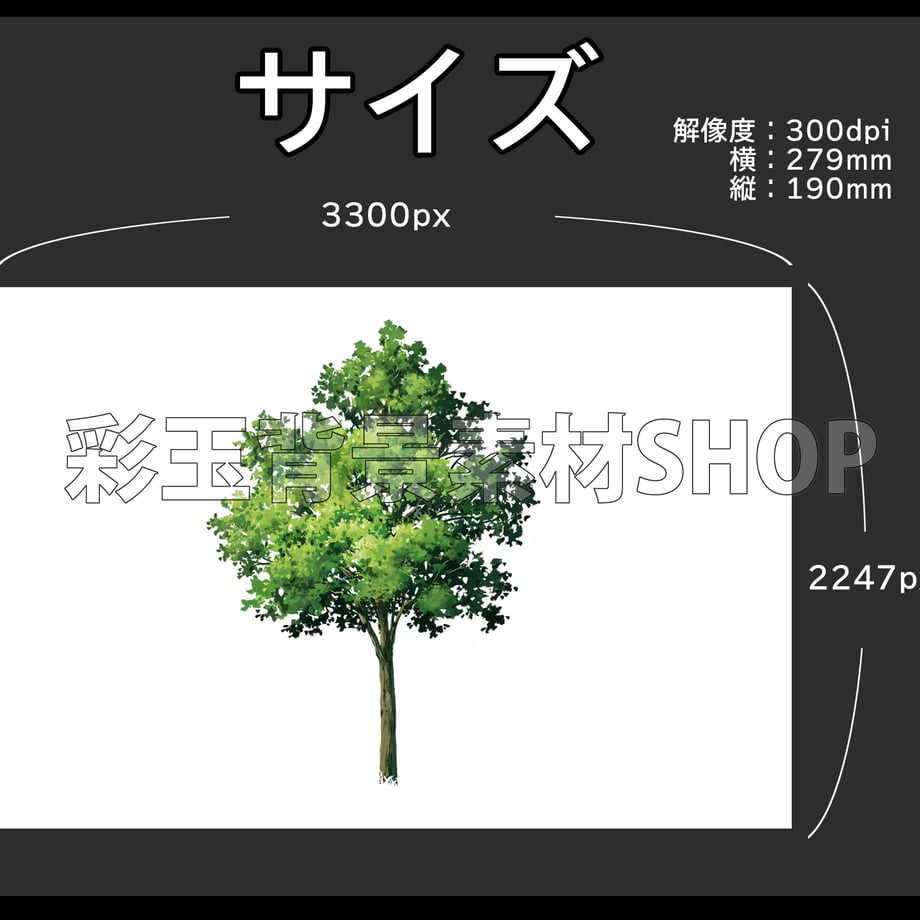 5cf392b95f61ce6241502e5f