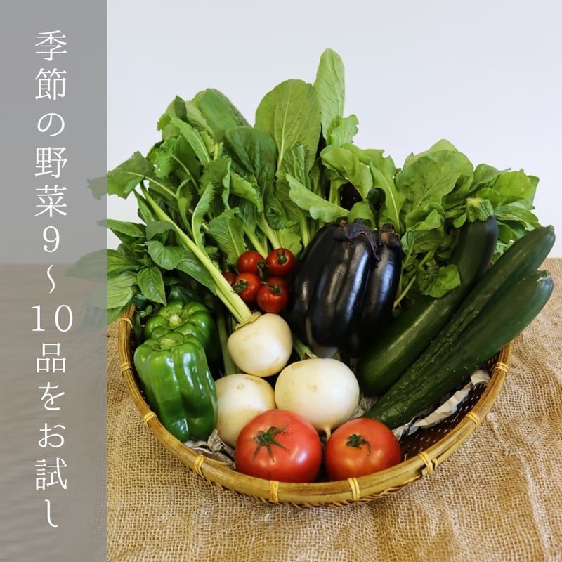 お試し】購入野菜セット（大） | 沃土会直売所