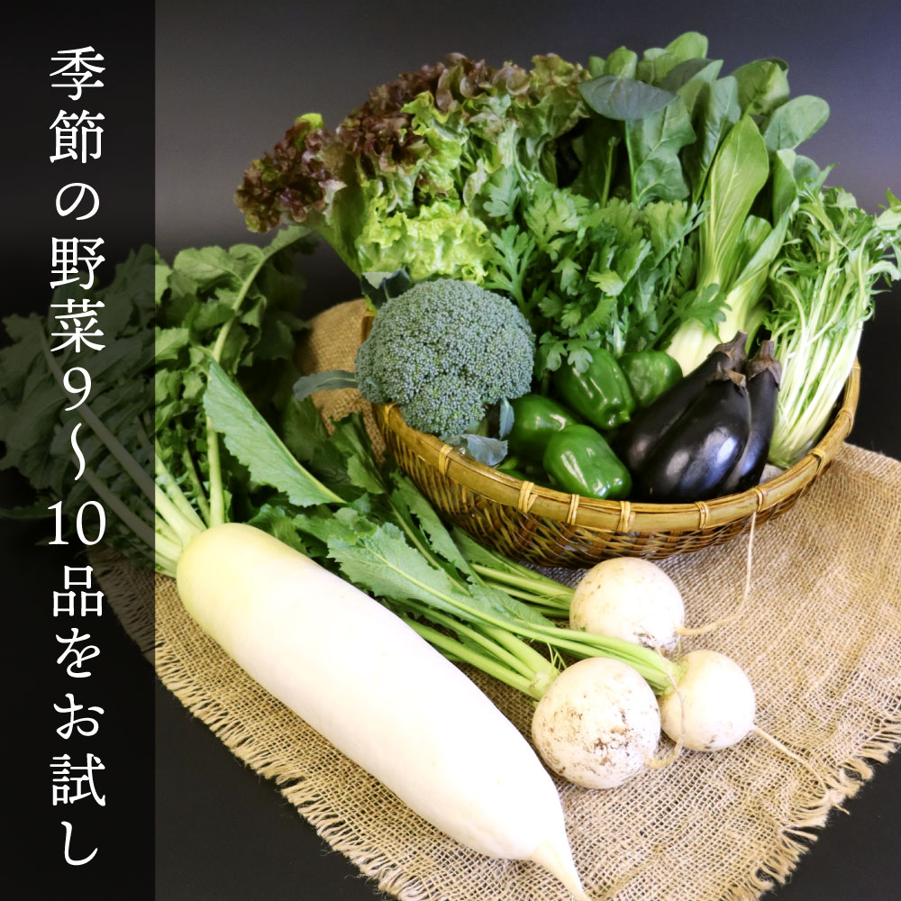 お試し】購入野菜セット（大） | 沃土会直売所