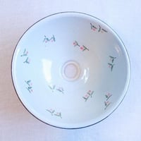 赤い実 Ｂタイプ‐27㎝（ワケあり）