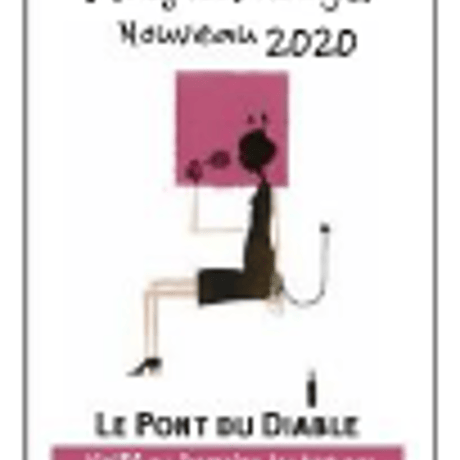 ル・ポン・デュ・ディアーブル　ボジョレー・ヴィラージュ・ﾇｰｳﾞｫ 【2020】 750ml