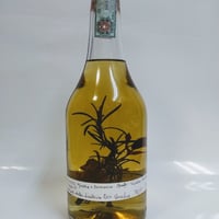 天使のグラッパ ロマーノ・レーヴィ Romano Levi 2008 51％ 700ml |