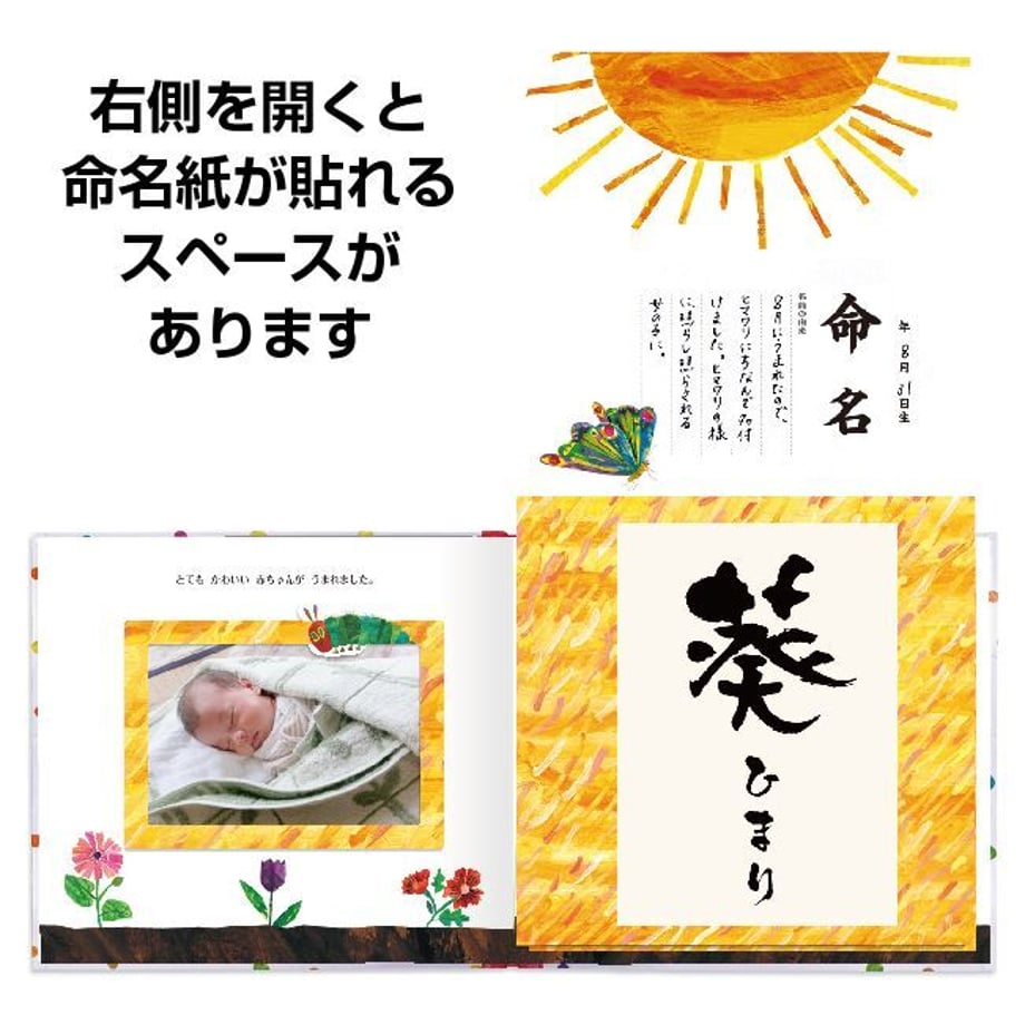 64ddd3965f5ac50032a95657