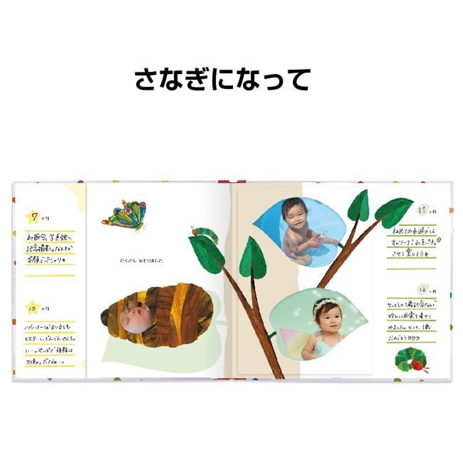 64ddd3965f5ac50032a95657