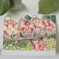 postcard / 籠に盛られた果物