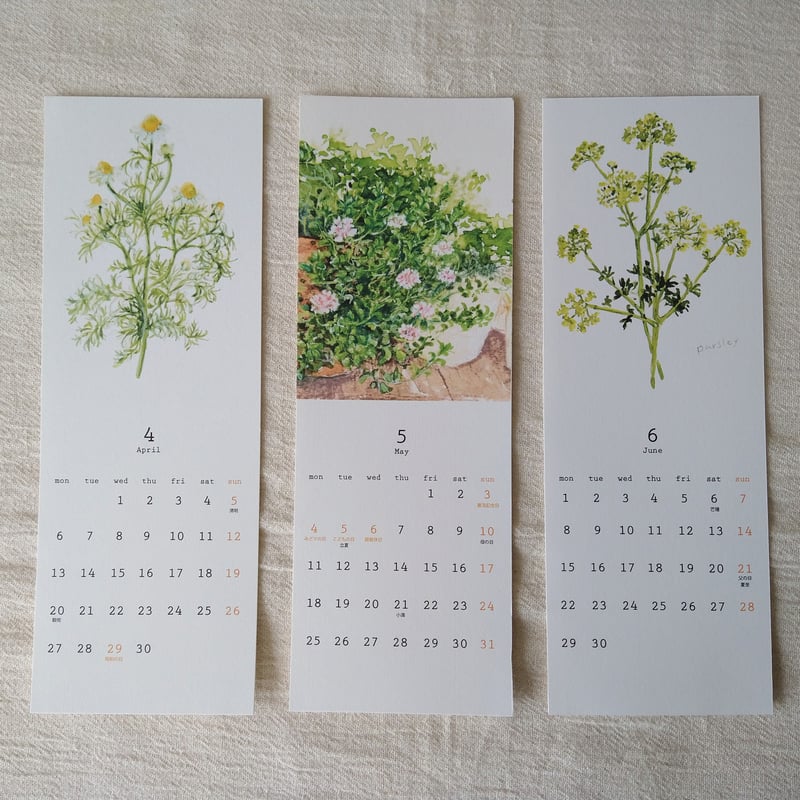 カレンダー2026 / 植物の12ヶ月 4月はじまり | hiromi ohno