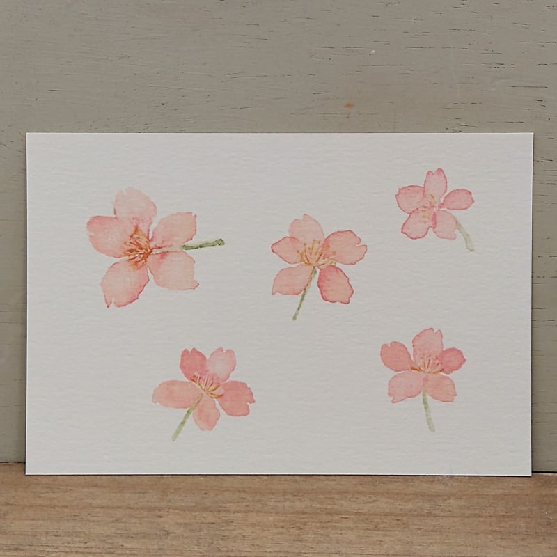 (F6号）桜井澪【花をごころ】肉筆/表裏にサイン有り/真作/手描き New Volume Cover 🗝🐈‍⬛️⏳️