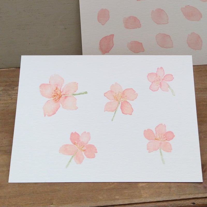postcard / さくらの押し花 （2柄セット） | hiromi ohno