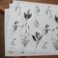 デザインペーパー / Harbs | hiromi ohno