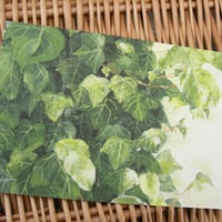 postcard / 重なる葉