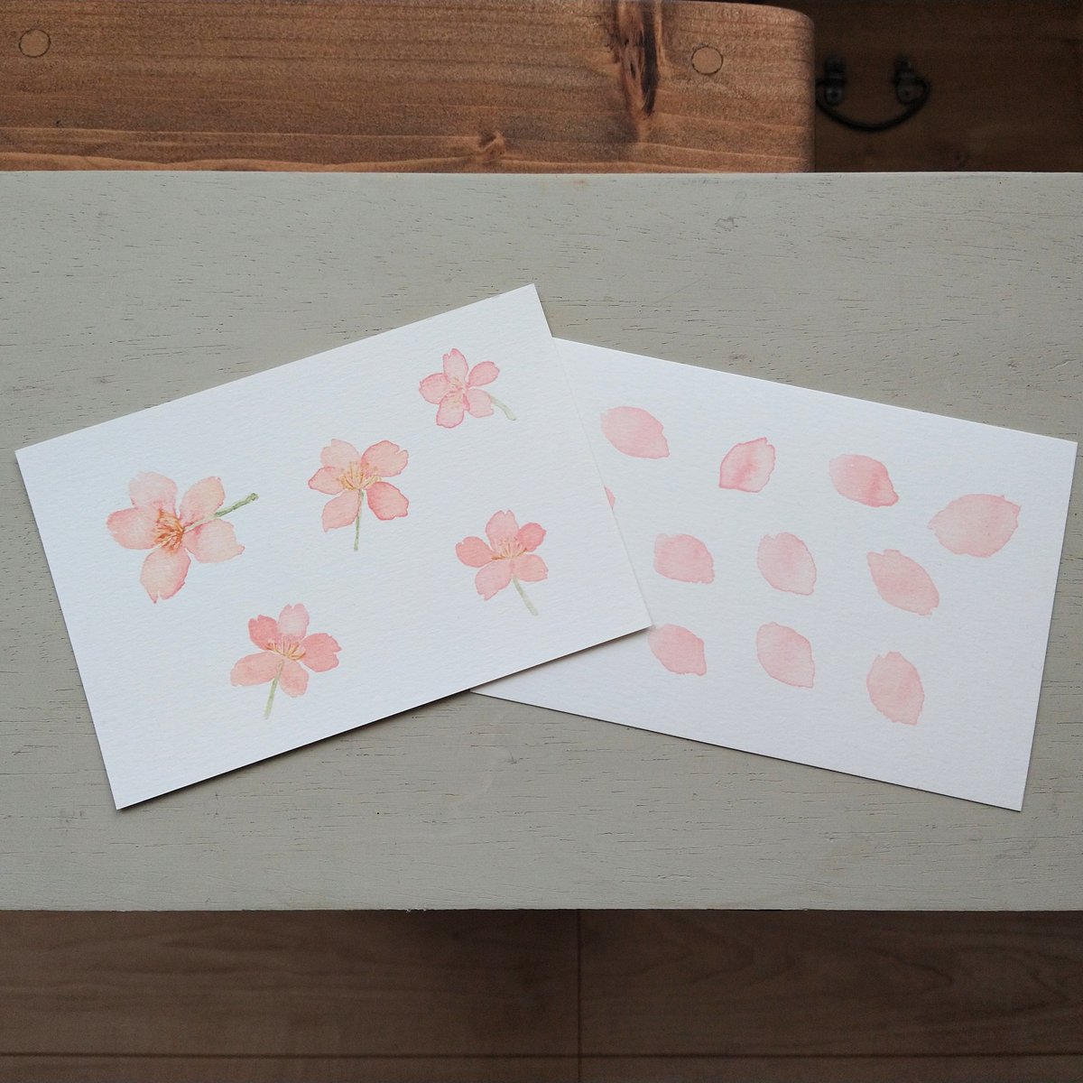 postcard / さくらの押し花 （2柄セット） | hiromi ohno