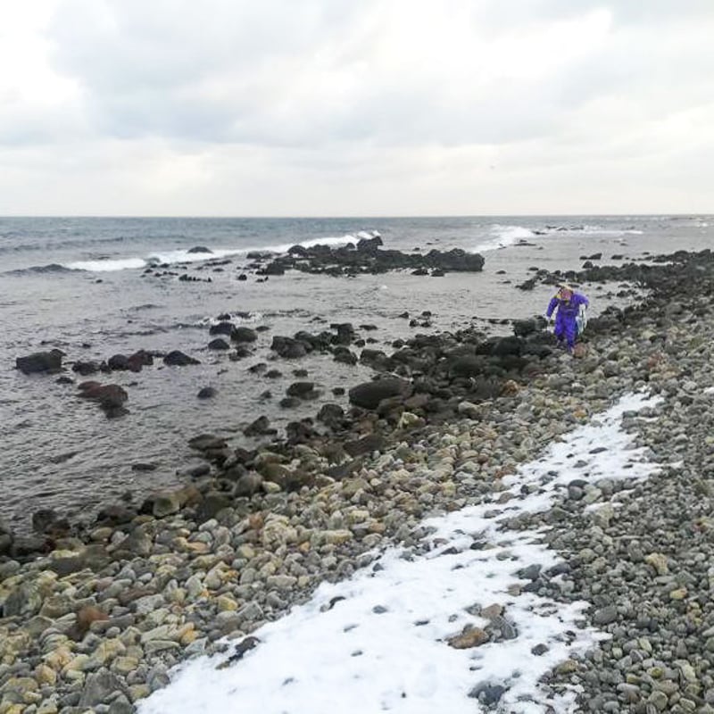 天然手摘み】北海道焼尻島産 やぎしり島の岩のり（バラ干し） 15g×12袋-