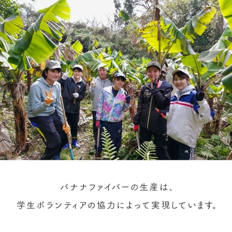 バナナイロ ハット（CONYシリーズ）［宝島］