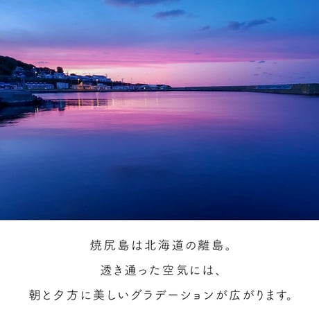 シーグラスのイヤリング（樹脂製）［焼尻島］