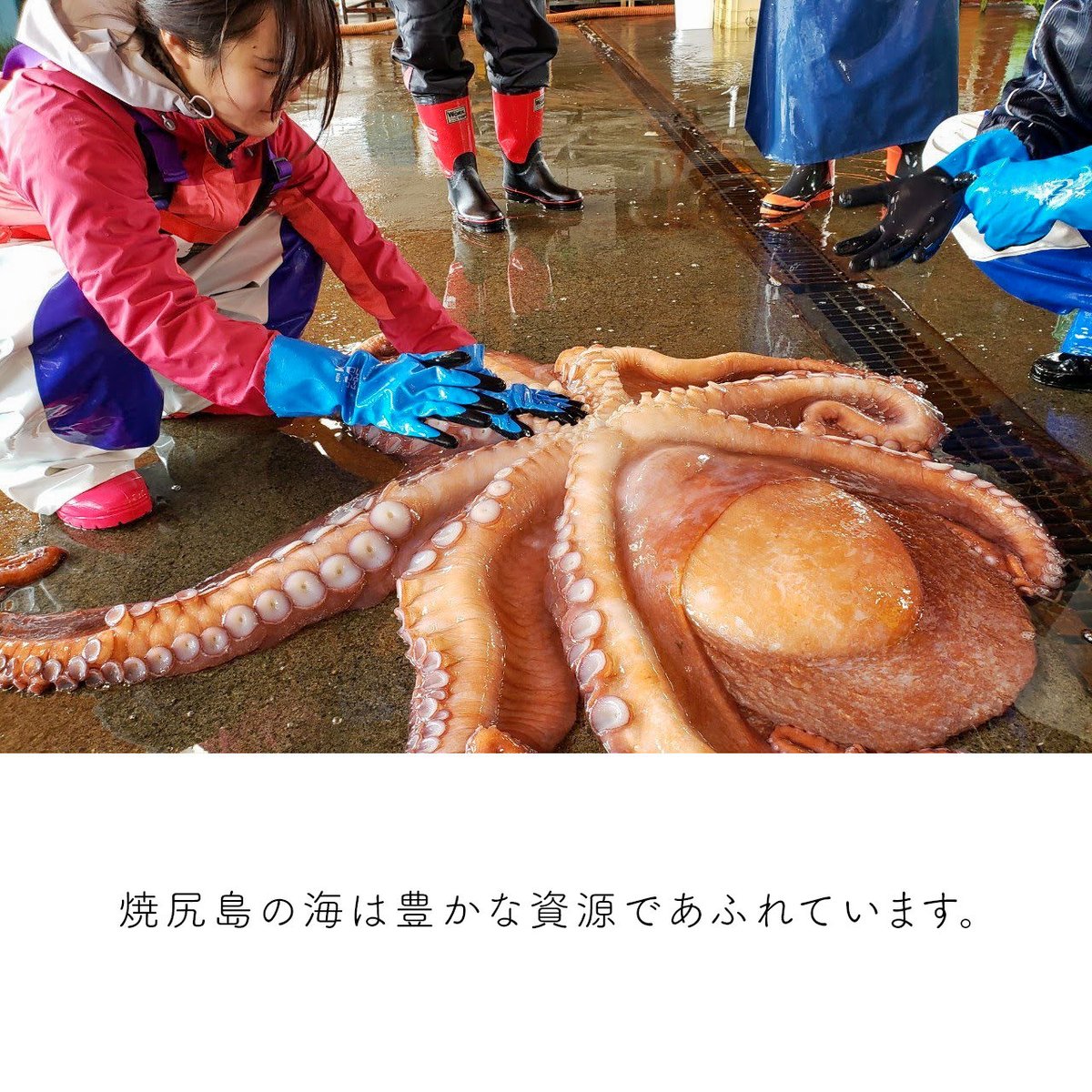 一点もの【シーグラスヘアゴム＊沖縄】大人個性＊トロピカル  