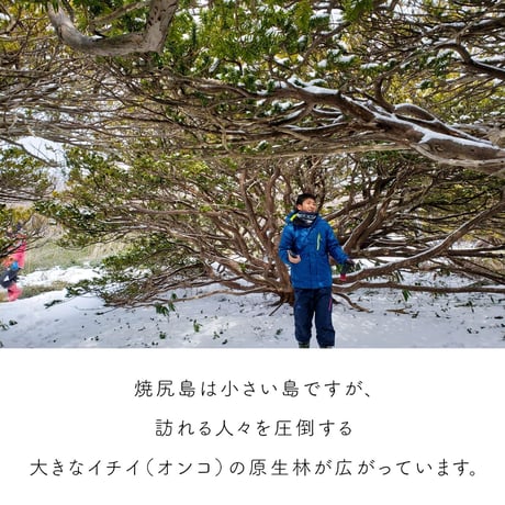 シーグラスのイヤリング（樹脂製）［焼尻島］