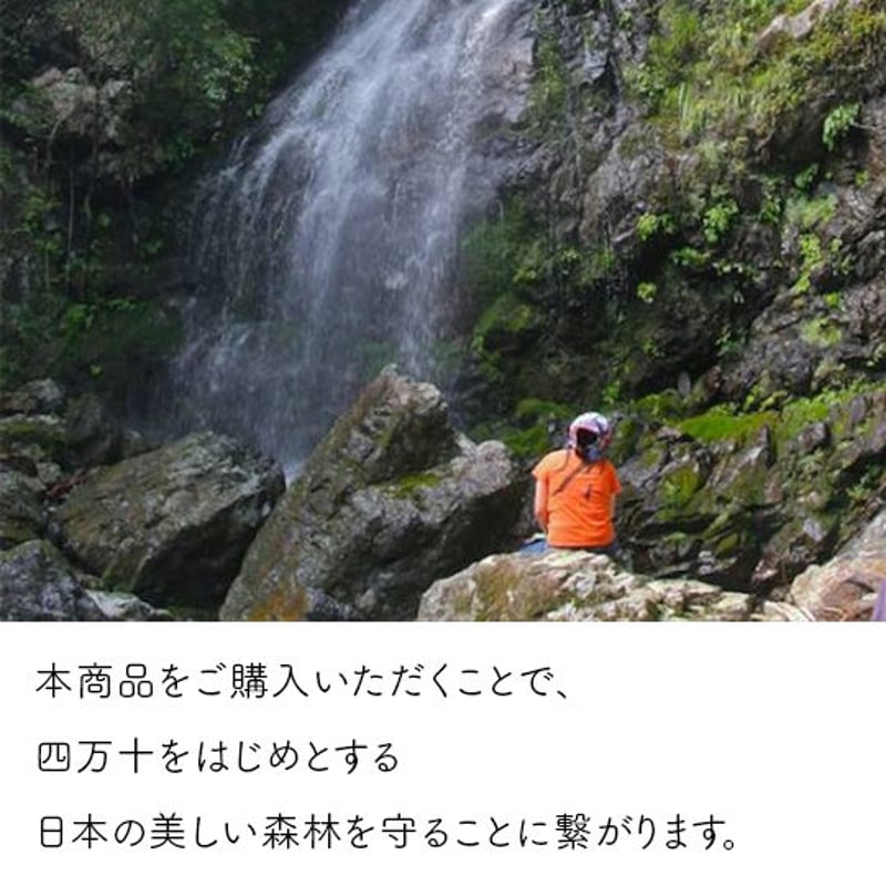 ヒノキの大きなベンチボックス［四万十ヒノキの家具屋さん