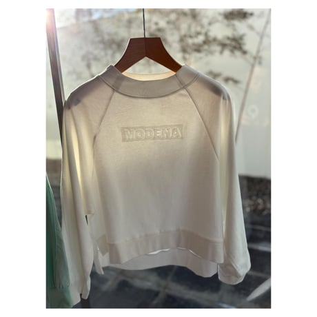 ふくれロゴデザイン スウェットプルオーバー