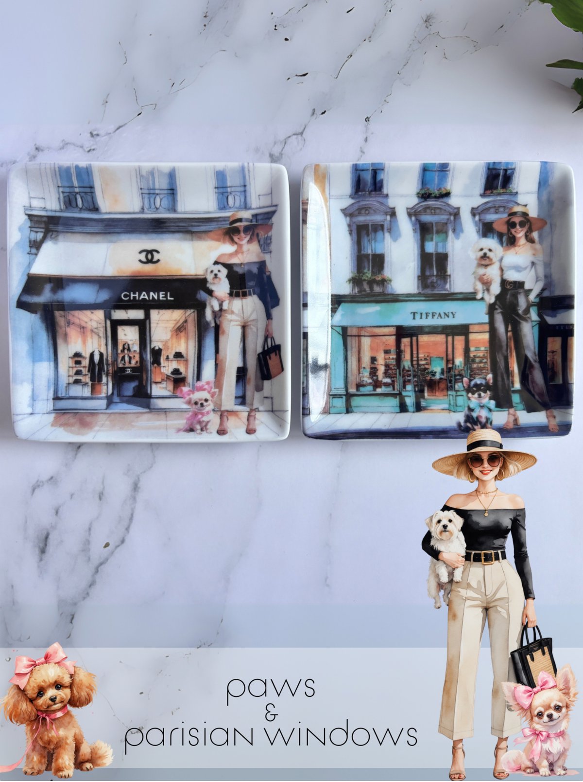 Paws & Parisian Windows | solodesignworks