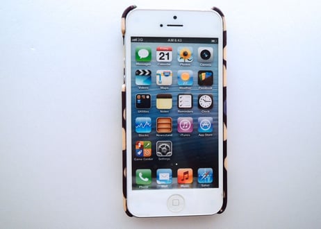 SALE! iPhoneSE/5sケース／リバティ・ジャック＆チャーリー・パープル（お客様レビューあり）