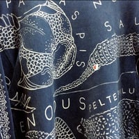 【on champion 】 OMA overdrawing sweatshirt 76 satisfaction  Extinct animals （armed type）