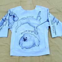 【on champion】OMA overdrawing トレーナー｜sweatshirt 47 mutation length 〈satisfaction〉極点動物｜extreme animals