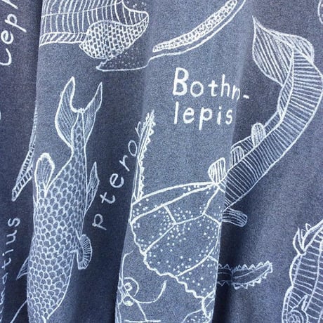 【on champion】 OMA overdrawing sweatshirt 77  satisfaction  原始肺魚 | primitive lung fish