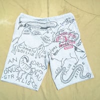 【on champion】OMA overdrawing ショートパンツ 03「砂漠の生物｜dessert creatures」