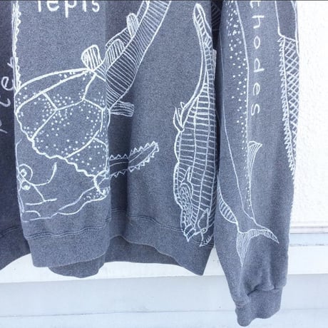 【on champion】 OMA overdrawing sweatshirt 77  satisfaction  原始肺魚 | primitive lung fish