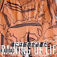 OMA overdrawing on adidas 03 sweatpants  TRAINING OF LIFE