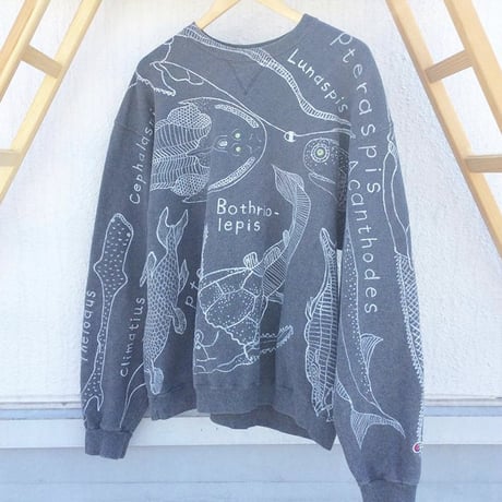 【on champion】 OMA overdrawing sweatshirt 77  satisfaction  原始肺魚 | primitive lung fish