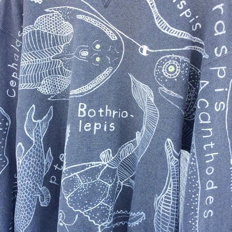 【on champion】 OMA overdrawing sweatshirt 77  satisfaction  原始肺魚 | primitive lung fish