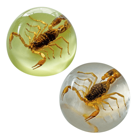SCORPION PAPER WEIGHT