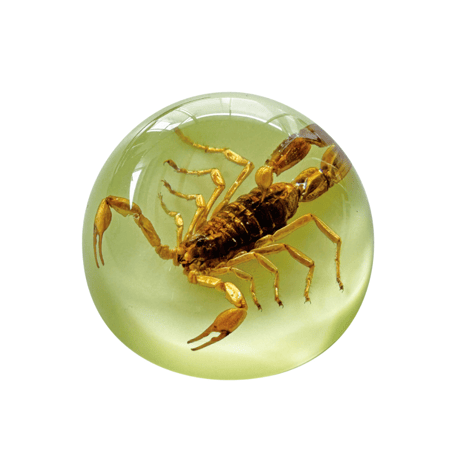 SCORPION PAPER WEIGHT