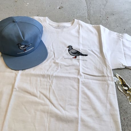 select /ANTIHERO "LIL PIGEON TEE"