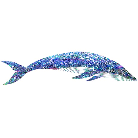 鯨｜A Whale