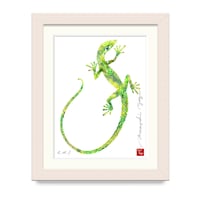 ジューミー / Lizard