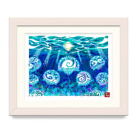 水海月 / Moon Jelly