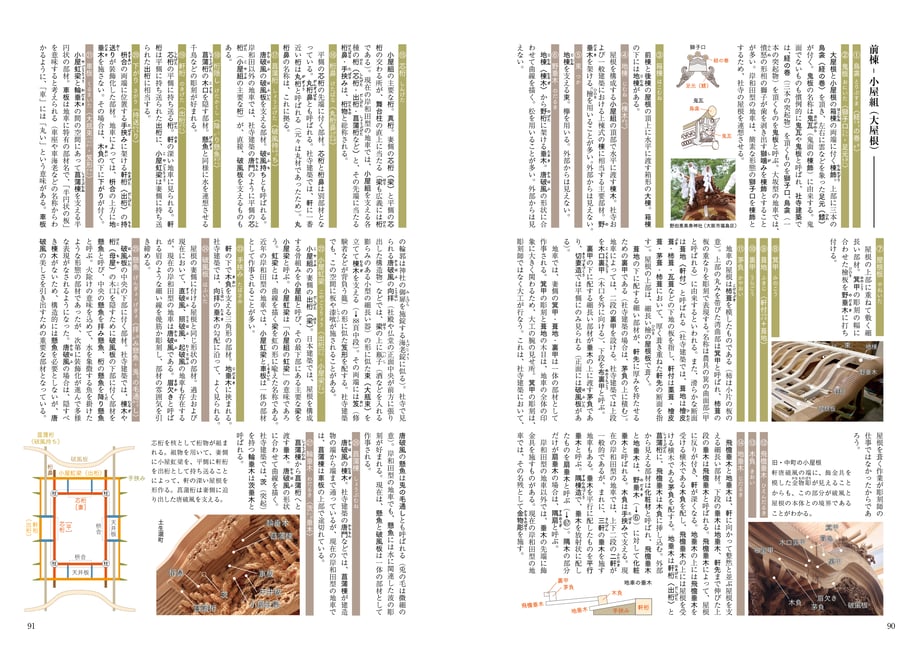 65e55e41b90fcc03c522ecce