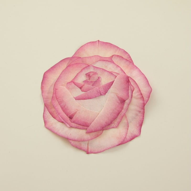 バラの押し花YouTubeレッスン型紙ダウンロード版 | Forever Love