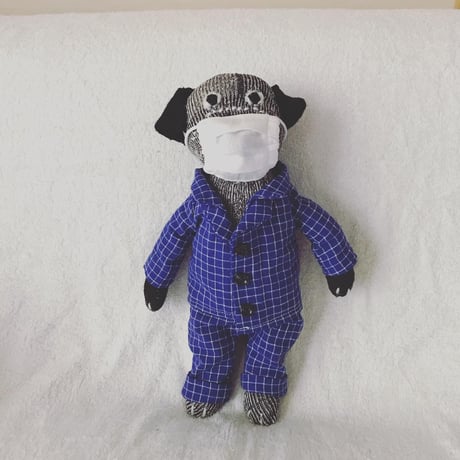 パジャマ犬