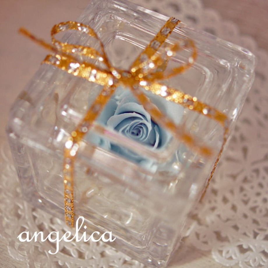 51f288b6a95dcbb610000785