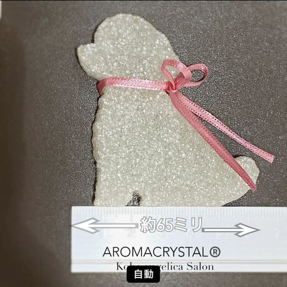6413afff105251003394fe49