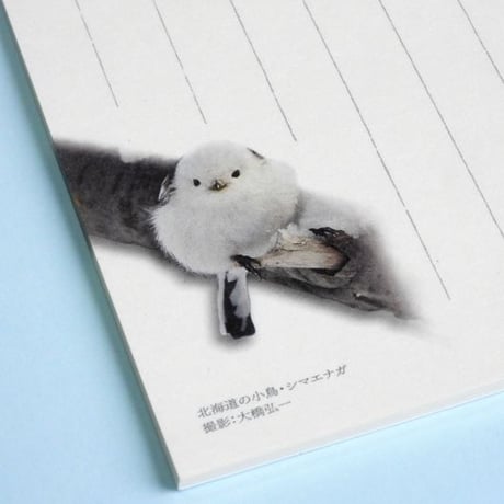 シマエナガ一筆箋　雪