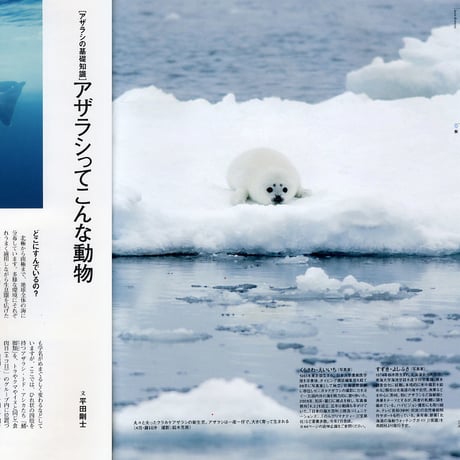 faura（ファウラ）30号【2010.12.15発行】