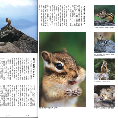 faura（ファウラ）5号【2004.9.15発行】